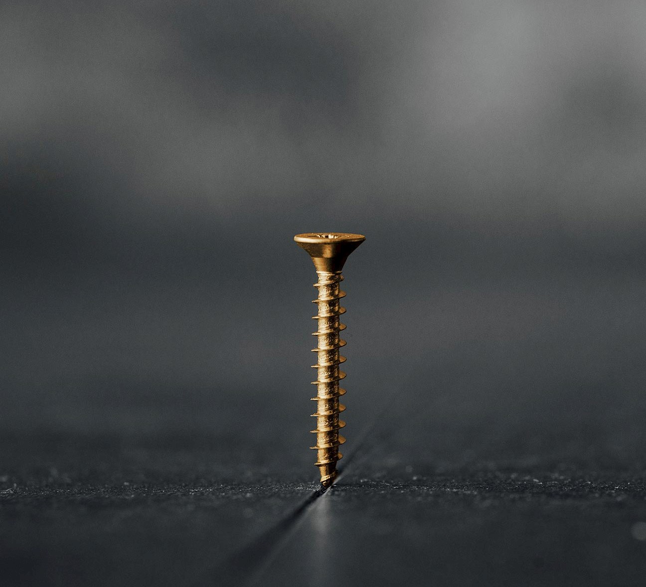 Screw photo